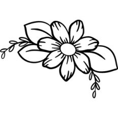 Daisy