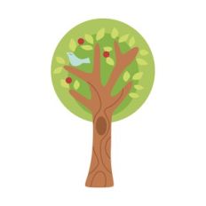 Apple tree