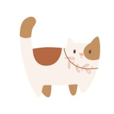 Calico Cat