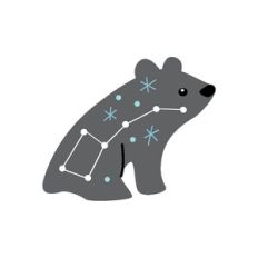 little bear constellation