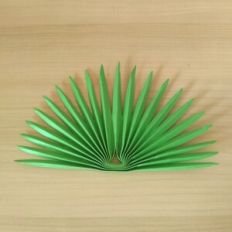 Fan Palm Leaf