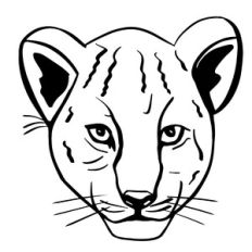 Lioness