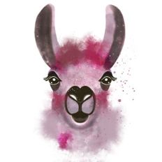 Colorful Watercolor Llama Sublimation