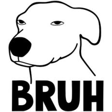 bruh dog