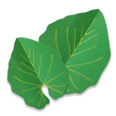 Anthurium Leaf