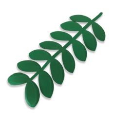 Zamiocuca Leaf