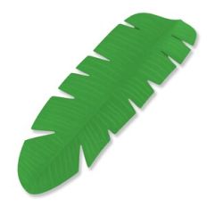 Banana Tree Leaf