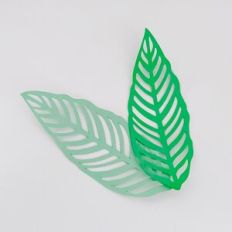 Banana Tree Leaf