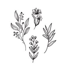 Botanical Floral Elements, Flowers leaves and sprigs