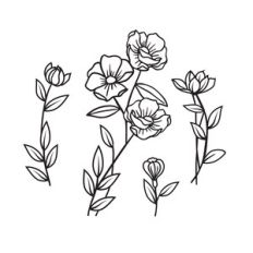 Botanical Floral Elements, Flowers leaves and sprigs