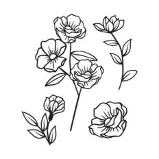 Botanical Floral Elements, Flowers leaves and sprigs
