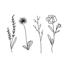 Botanical Floral Elements, Flowers leaves and sprigs