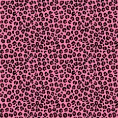 Leopard Print Prink