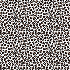 Leopard Print on White