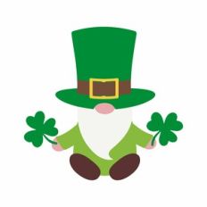 st. patrick gnome