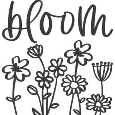 Bloom Flowers