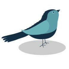 Garden Bird