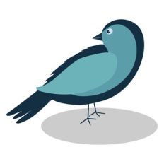Garden Bird