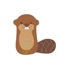 Beaver