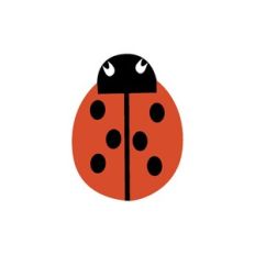Ladybug