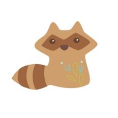 Raccoon