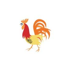 Rooster