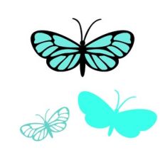 BUTTERFLY