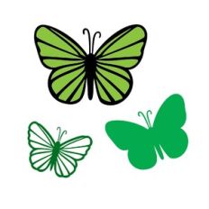 BUTTERFLY