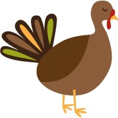turkey