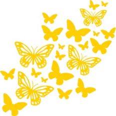 butterflies