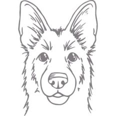 German shepherd