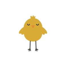 Baby Chick