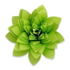 Spiral Flower 83