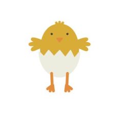 Chick in Egg