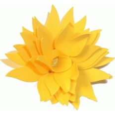 rolled flower