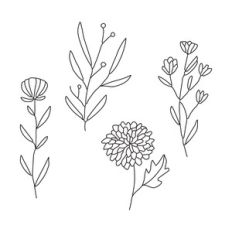 Botanical Floral Elements, Flowers leaves and sprigs