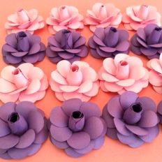 Flower 42