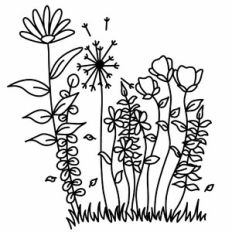 Meadow Flowers