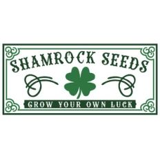 Shamrock Seeds Sign