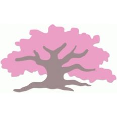 ancient tree