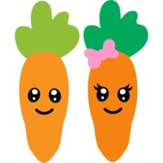 couple of carrots