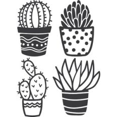 Short Cactus