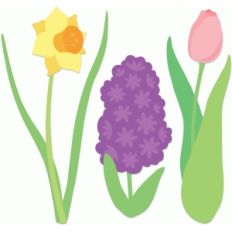 spring flowers