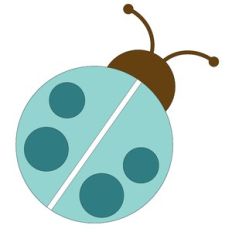 Ladybug