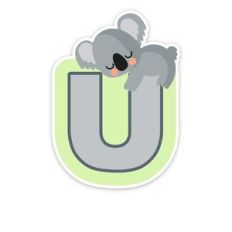 koala U koala