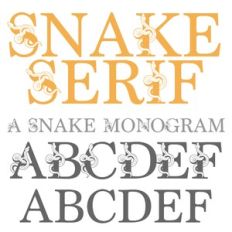 ZP Snake Serif