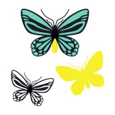 QUEEN BUTTERFLY