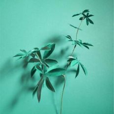 Rhea Foliage