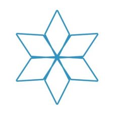 GEOMETRIC FLOWER