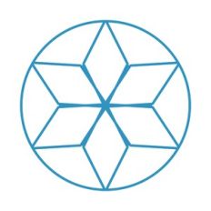 GEOMETRIC FLOWER